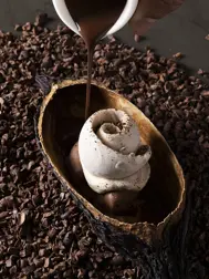 IRADR Cioccolato E Caffè Della Manufacture Alain Ducasse A Paris, Gelato Al Grano Saraceno (Credits Matteo Carassale)