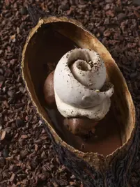 Cioccolato della Manifacture Alain Ducasse