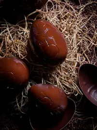 2026 02 Romeohotel 3997 Copia (1)